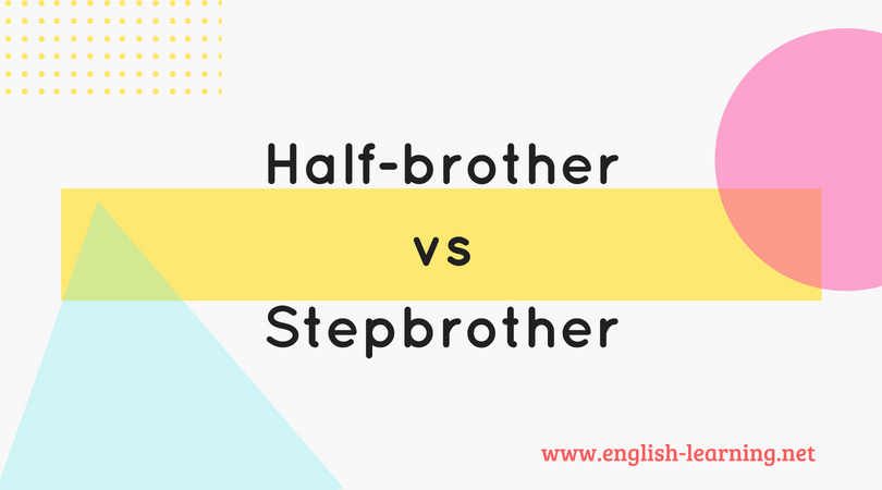 Phân biệt “half-brother” và “stepbrother” trong Tiếng Anh