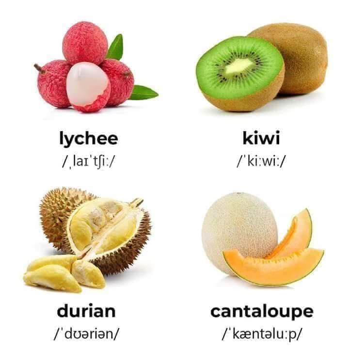 Tên Tiếng Anh các loại trái cây