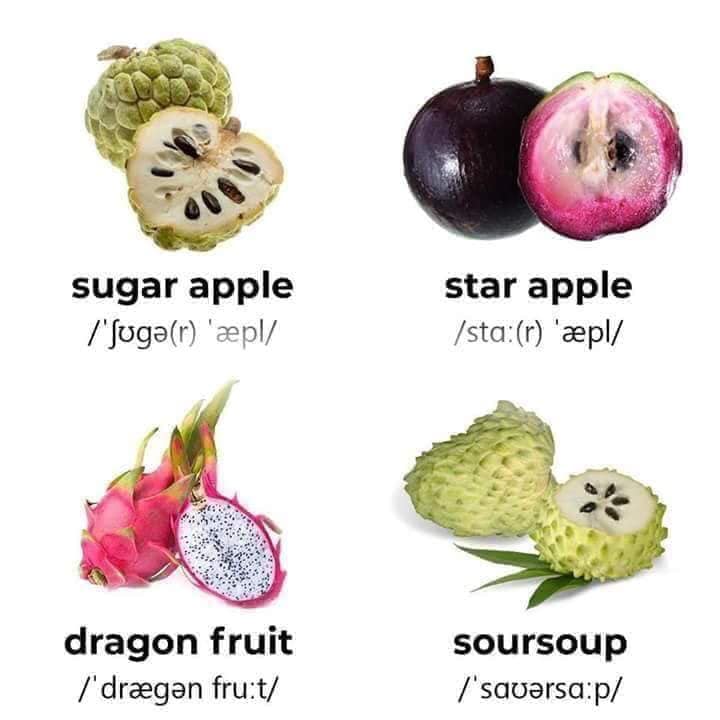Tên Tiếng Anh các loại trái cây