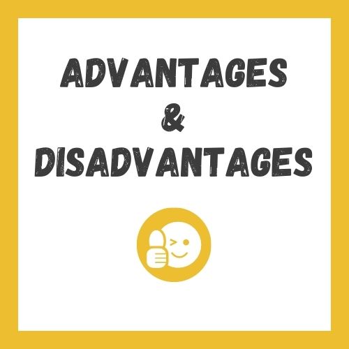 advantages disadvantages